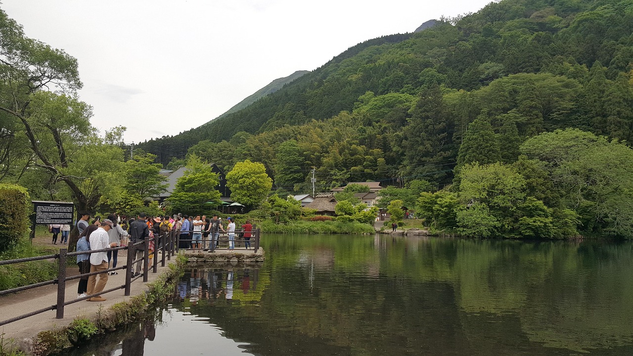 日本旅游教师最新动态与行业趋势解析